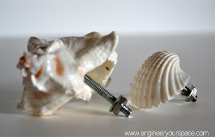 DIY Decorative Shell Dresser Knobs