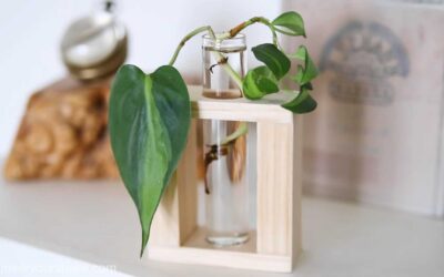 DIY handmade Gift Ideas: Plant propagation station