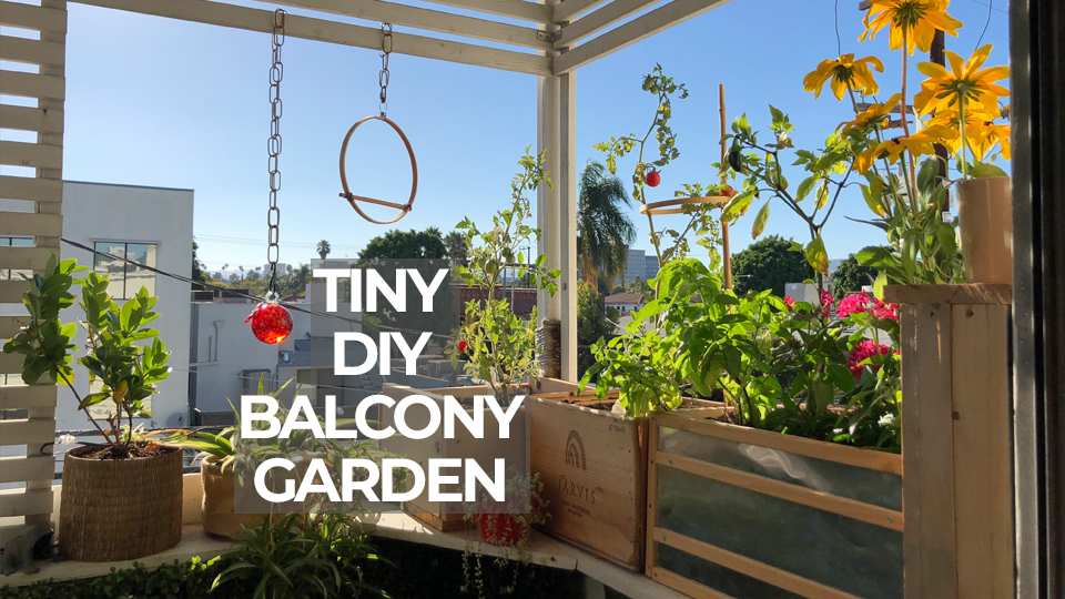 Balcony makeover: Creating a tiny garden for outdoor living