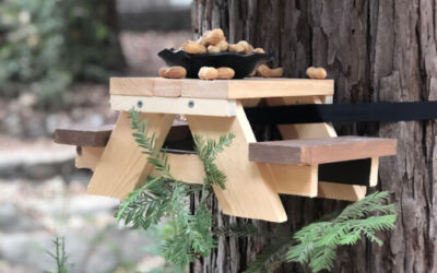 How to make a Squirrel Picnic Table